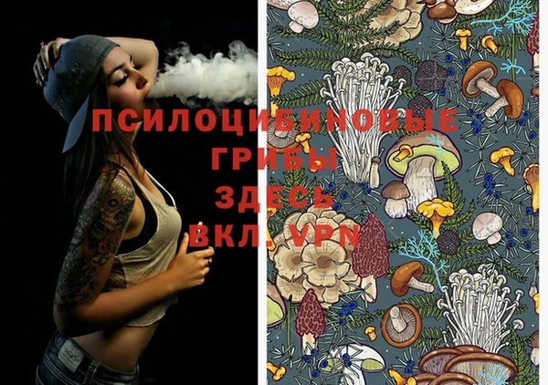 первитин Волоколамск